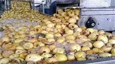 آخرها جوافة بـ