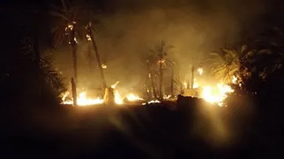 حريق يلتهم 145 نخلة فى الوادي الجديد