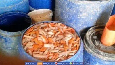 ضبط 9 طن مخللات 