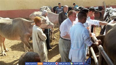 إنطلاق قافلة علاجية مجانية لقرية 