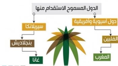 العمل تدرس فتح أسواق جديدة للعمالة المنزلية بخيارات متنوعة قريباً