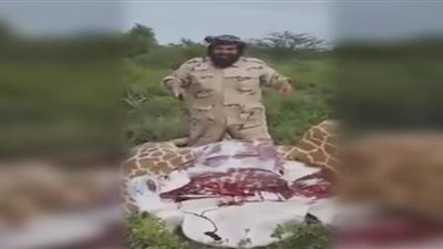 رجل سعودي ذبح لضيوفه زرافة في وجبة غذاء! (فيديو) 