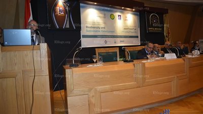 العلماء يطالبون بالحفاظ على كنوز مصر بـ