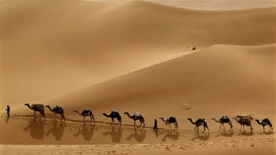 الهجرة النبوية دروس وعبر