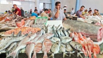 5 أنواع من الأسماك يحذر الأطباء من تناولها.. أبرزها 