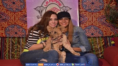 بالفيديو.. أنوسة كوتة عن 