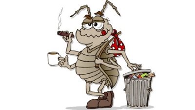 معلومات غريبة عن الصرصور.. أبرزها 