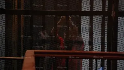 وصول محاميي 