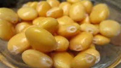 فوائد استخدام 