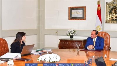 تفاصيل اجتماع الرئيس السيسي مع وزيرة الاستثمار‎