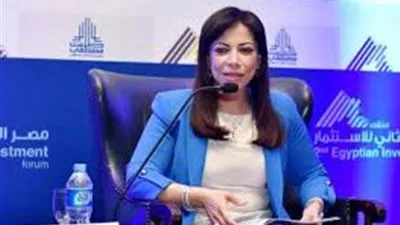 خبير اقتصادي: يجب إجراء حوار مجتمعي شامل حول قانون الاستثمار قبل إقراره