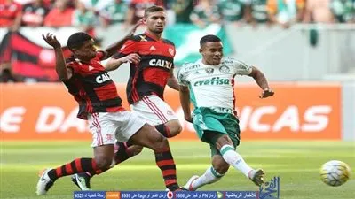 فيجويرينسي يطالب بإلغاء نتيجة مباراته أمام بالميراس