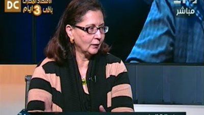 علياء المهدي: الحكومة بدأت في تنفيذ برنامج الإصلاح الاقتصادي فعليا