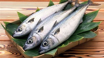 دراسة.. تناول السمك يساعد على الوقاية من مرض الاكتئاب