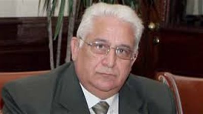 محسن النعماني: وزير التنمية المحلية لا يختار المحافظين