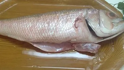   شاهد.. ماذا وجد داخل 