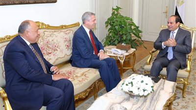 السيسي: لدينا نحو 5 ملايين لاجئ نعاملهم كالمصريين