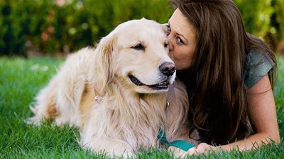 النساء الاسبان يعتمدن على الكلاب لحمايتهن من العنف الأسري