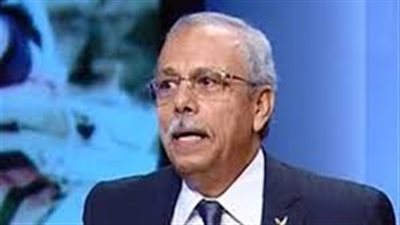 خبير أمني عن إيواء أهالي سيناء للإرهابيين: 