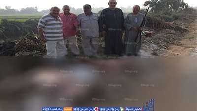 تشكيل لجنة للتحقيق في واقعة 