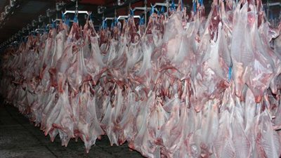 المملكة تسلم الدفعة الثانية من لحوم الهدي والأضاحي للأردن