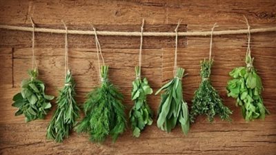 علاج حب الشباب بالأعشاب الطبيعية