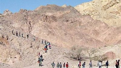 إحباط تسلل 84 شخص  للأراضي الليبية بالسلوم