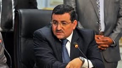 أسامة هيكل: 