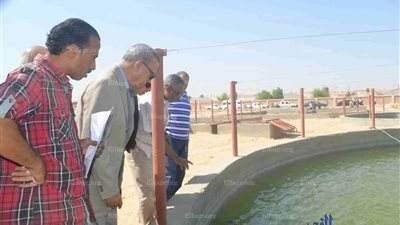 محافظ قنا: بدء تشغيل محطة إنتاج الألبان خلال 4 أشهر (صور) 