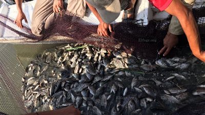  ضبط 205 قضية صيد جائر وغزل مخالف في حملة ببحيرة البرلس (صور)