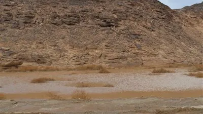 30 ألف نسمة مهددون بمياه السيول بعزبة البوصة بمحافظة قنا