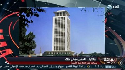 هاني خلاف: لهجة الخارجية المصرية على 