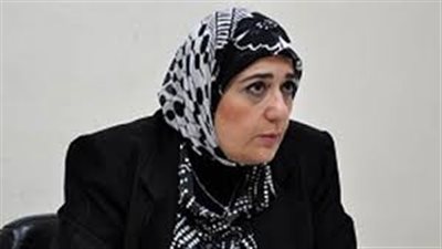 شيرين الشواربي: الدولة ستتخذ إجراءات اقتصادية عقب دعوات 