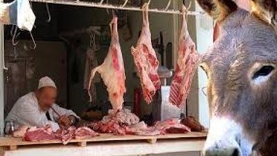 عقب ضبط حمير مذبوحة.. أمن المنوفية يحرر محضر 