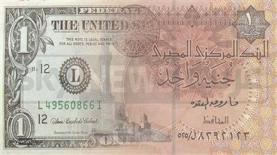 ماذا يعني تعويم الجنيه المصري؟