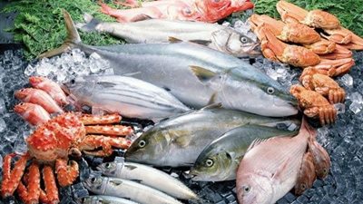 فوائد مذهلة للأطعمة البحرية.. أبرزها تقوية المناعة
