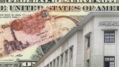 بعد تعويم الجنيه.. هل صنعت الحكومة الفخ لنفسها قبل 11/11؟