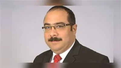 برلماني: المسؤولون تركوا الشارع فريسة لسائقي الميكروباص