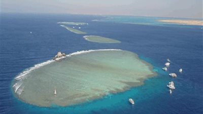 انفراد.. ننشر نص المذكرة الختامية لدفاع 