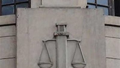 دفاع وزير الري الأسبق يطعن على خطاب وزير الزراعة 