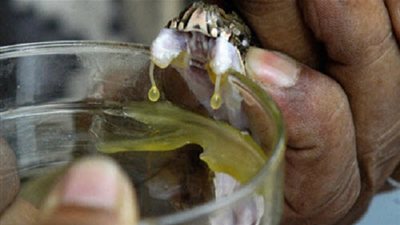 حقائق ومعلومات مدهشة عن 