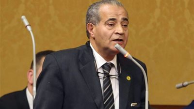 برلماني يقترح فتح حسابات دولارية للمصريين بالخارج بفائدة 5% 