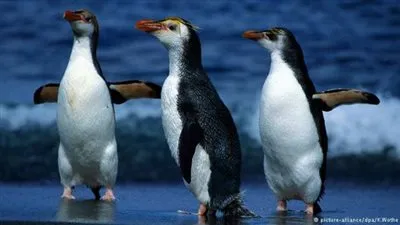 ذكر بطريق يقتل آخر 