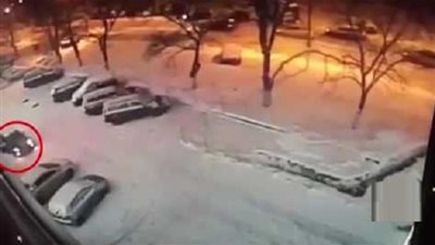 لحظة مقتل بطل العالم في الكيك بوكسينج (فيديو)