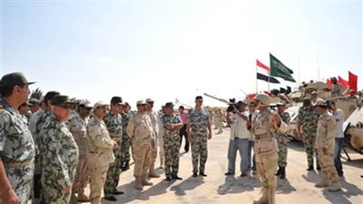 خبراء يكشفون: هذه الأسباب وراء عدم تفعيل التحالفات العسكرية العربية (تقرير)