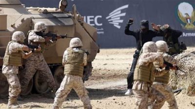 تمشيط 11 منطقة والقضاء على 9 تكفيريين وتفكيك 40 عبوة ناسفة بسيناء  