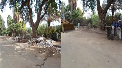 رفع القمامة من محيط مدرسة 