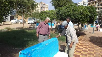 حى السويس يشن حملة تجميل الحدائق العامة والشوارع (صور)