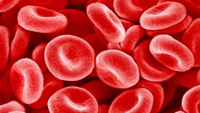 هل تحدد فصيلة الدم نوع الريجيم؟