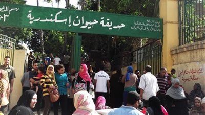 إعادة فتح حديقة حيوان الإسكندرية عقب غلقها لـ15 يومًا  لتطويرها 